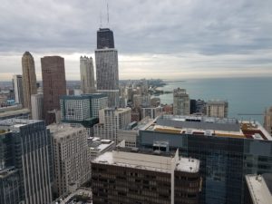 Chicago Roof View
